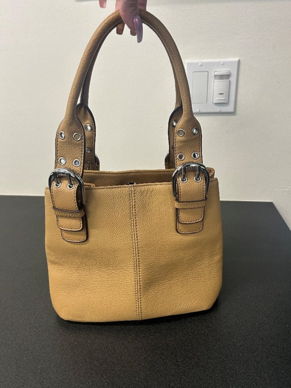 Tignanello Perfect 10 French Small Tote – Tan/Cognac